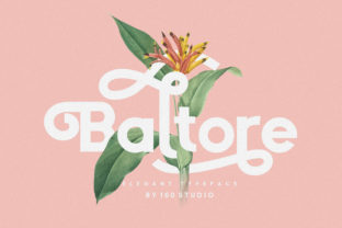 Baltore: A Sophisticated Sans Serif Typeface for Modern Editorial Design