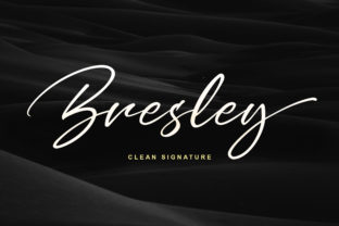 Bresley Font Review: Bold Handwritten Swashes for Standout Branding