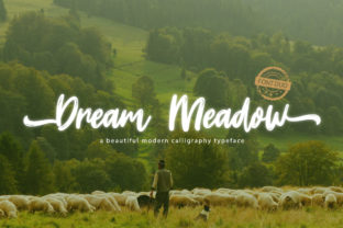 Dream Meadow Typeface: A Cheerful Script for Handmade Brands