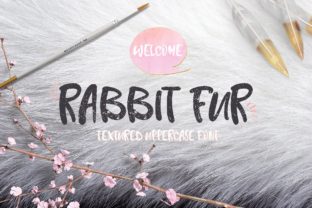 Rabbit Fur Font: A Textured Script for Standout Branding