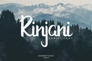 Rinjani Script Font for Modern Web Design